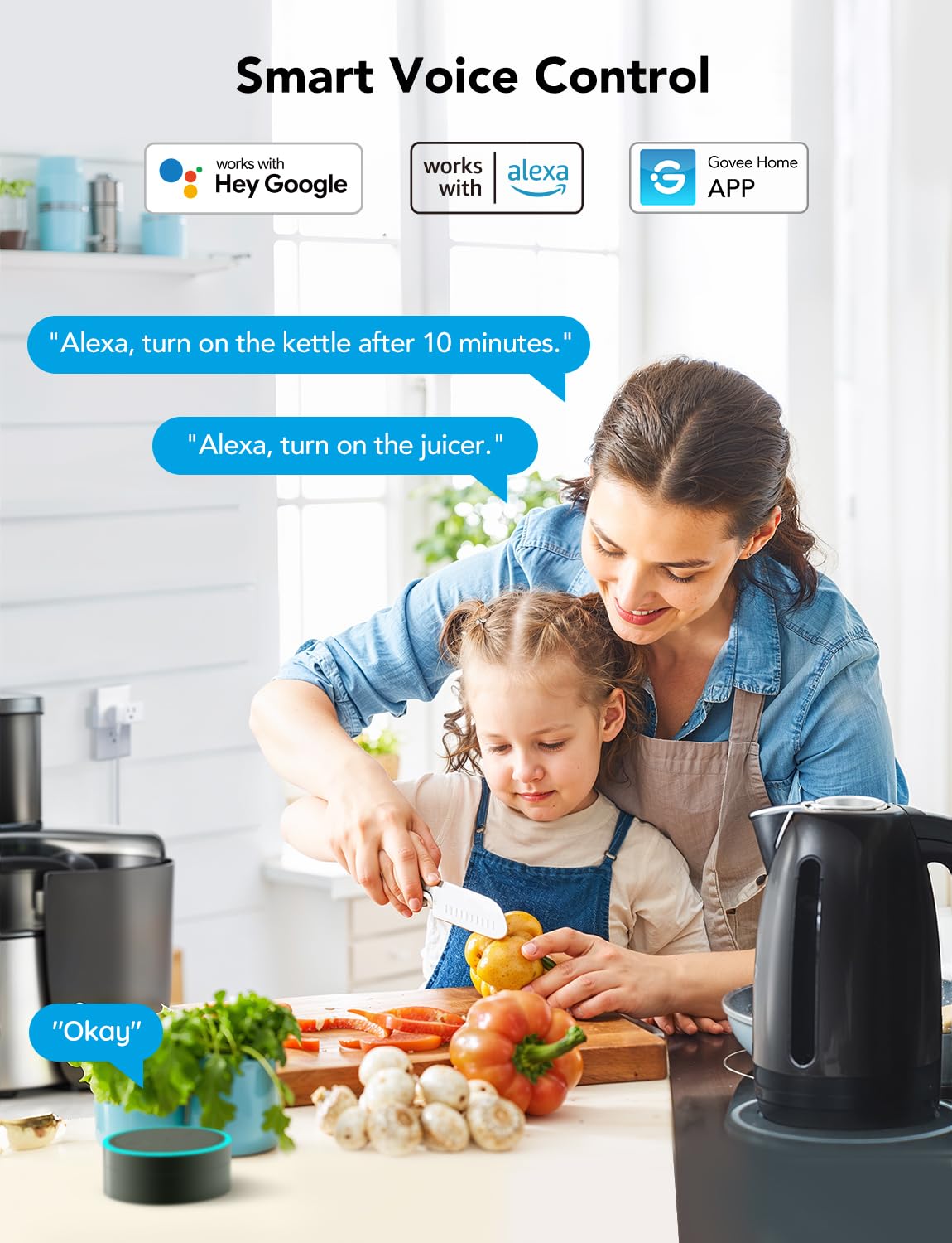 Govee Dual Smart Plug 4 Pack