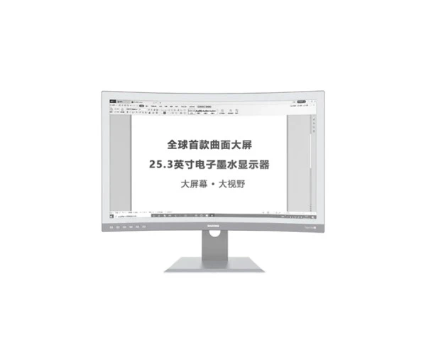 DASUNG 25.3