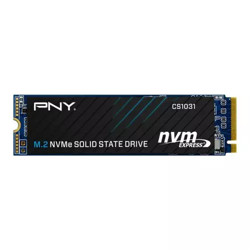 PNY CS1031 256GB M.2 NVMe Internal SSD