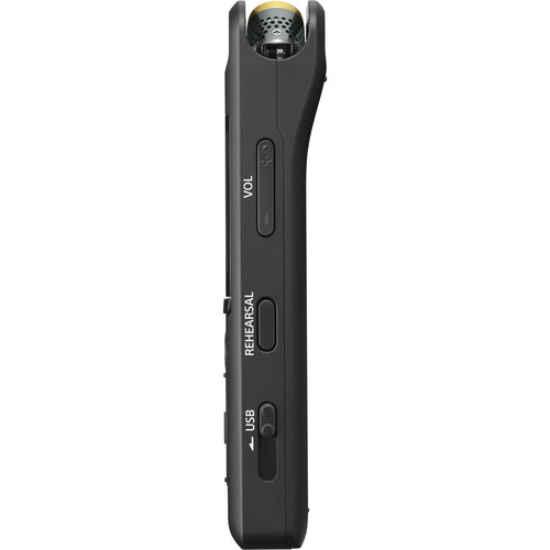 Sony PCM-A10 High-Resolution Portable Digital Voice Recorder