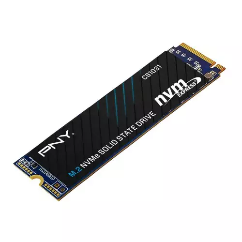 PNY CS1031 256GB M.2 NVMe Internal SSD