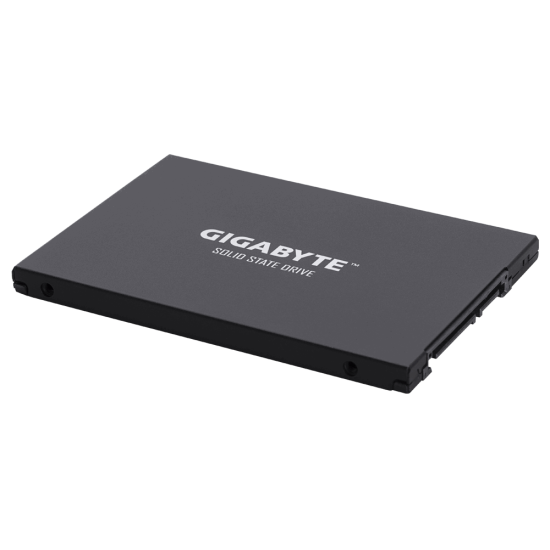 Gigabyte 256GB 2.5 Inch SATAIII SSD